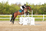SBM_002620