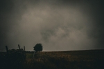 DSCF4199
