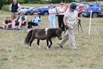 WJ6_5679