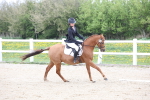 SBM_006588