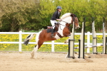 SBM_004474