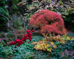 Batsford - 05