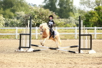 SBM_006380