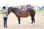SBM_01296