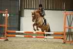 AJG_4590