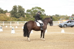 SBM_010914