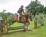 Dunblane show-266