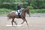 BPP_0729