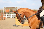 SBM_02296