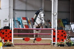 Class 6 - National 1.30m portfolio