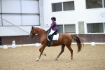SBM_003266