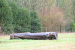 WJ6_5012