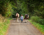 jane horses-8