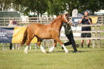 SBM_10487