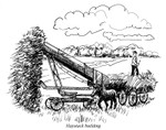 Hay stack building