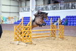 SBM_006501