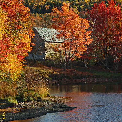 An old barn peeks out amongst strong autumn color in rural New Brunswick Canada.