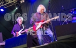 Albert Lee-32