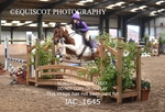 JAC_1645