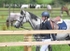 BPP_8408