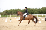 SBM_020233
