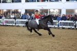 SBM_004292