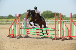 SBM_012198
