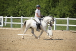 SBM_009739