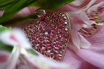 Flowers Set 08 - 45