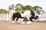 SBM_09281