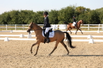SBM_007032