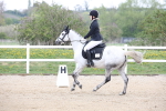 SBM_006599