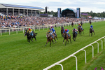 Race 4 15.05pm Sky Bet For The Fans Handicap portfolio