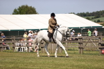 SBM_16205