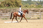 SBM_002907