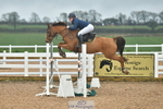 Cls 7 Pony Fox & Open portfolio