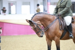 SBM_08198