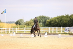 SBM_008459