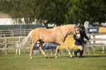 SBM_10498