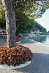 Garda town promenade