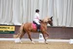 SBM_005876