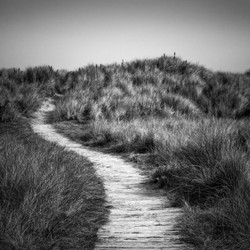 Dune path