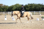 SBM_012498