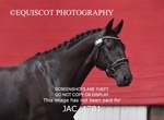 JAC_4781