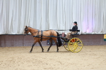 SBM_001064