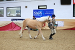SBM_09817