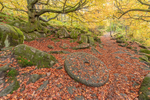 Padley Gorge