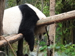 CHINA__0087