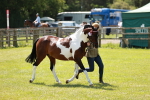 SBM_05444
