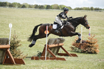 BVHT 140517  IXC -833